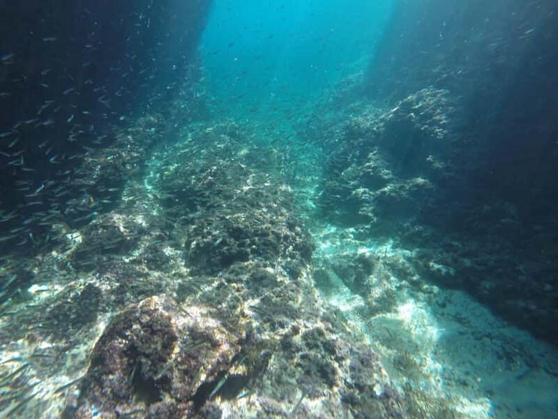 Dubrovnik: Blue Cave Tour by Speedboat with Small Group - Practical Tips for Booking and Enjoying the Tour
