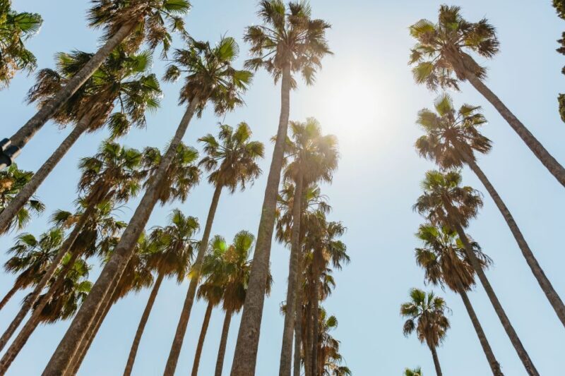 Dubrovnik: Elaphite Island Cruise w/ Drinks & Optional Lunch - FAQ