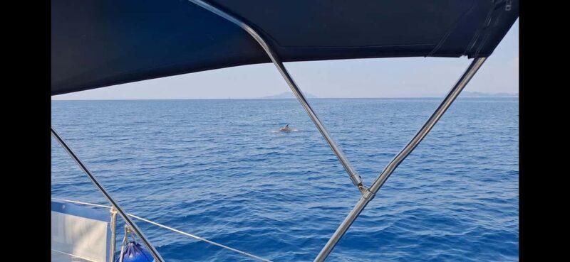 Dubrovnik - Full day group yacht tour to Elaphiti&Blue cave - Final Thoughts