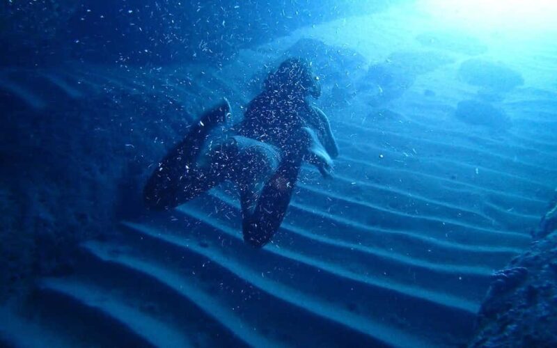 Dubrovnik: Half-Day Instagram Boat Tour with Drinks - Who Should Book This Tour?