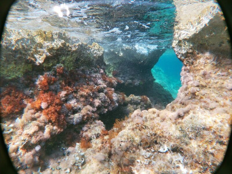 Dubrovnik: Half-Day Private Boat Trip to Elafiti Islands - FAQs