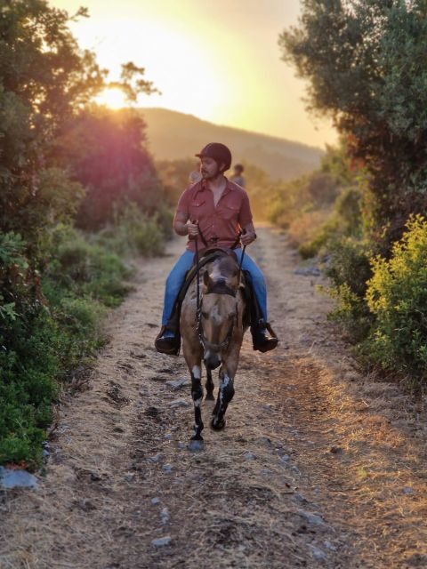 Dubrovnik Kojan Koral: Horseback Riding - Discovering the Konavle Valley by Horseback