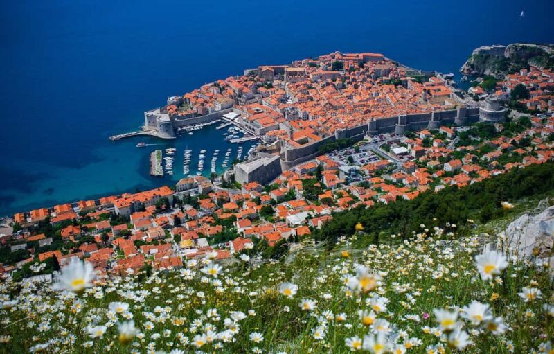 Dubrovnik Panorama and Sr Guided Tour - Who Will Love This Tour?