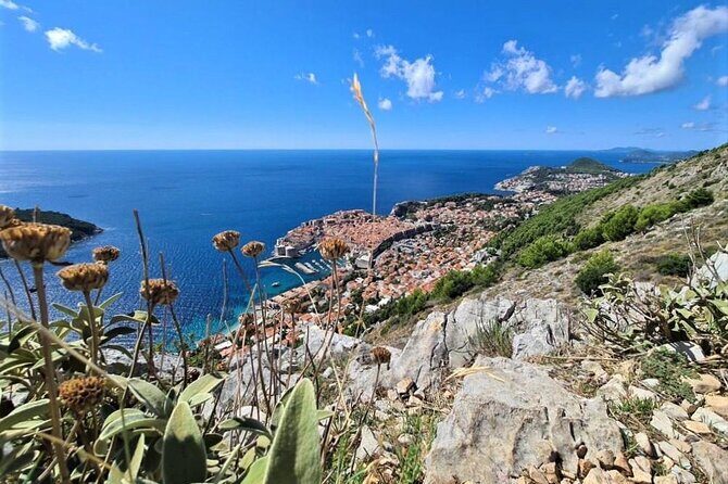 Dubrovnik Panoramic Sightseeing Tour with Guide (minivan) - A Detailed Look at the Tour Experience