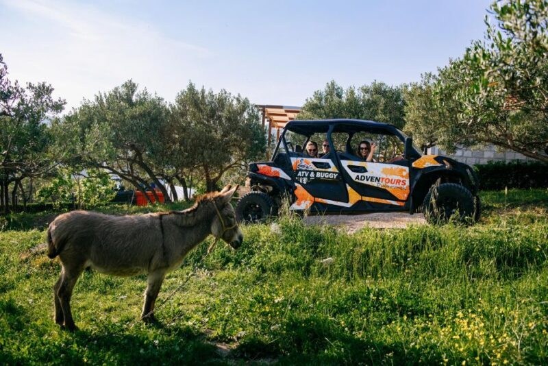 Dubrovnik: Private Buggy Safari Guided Tour (3 hours) - Key Points