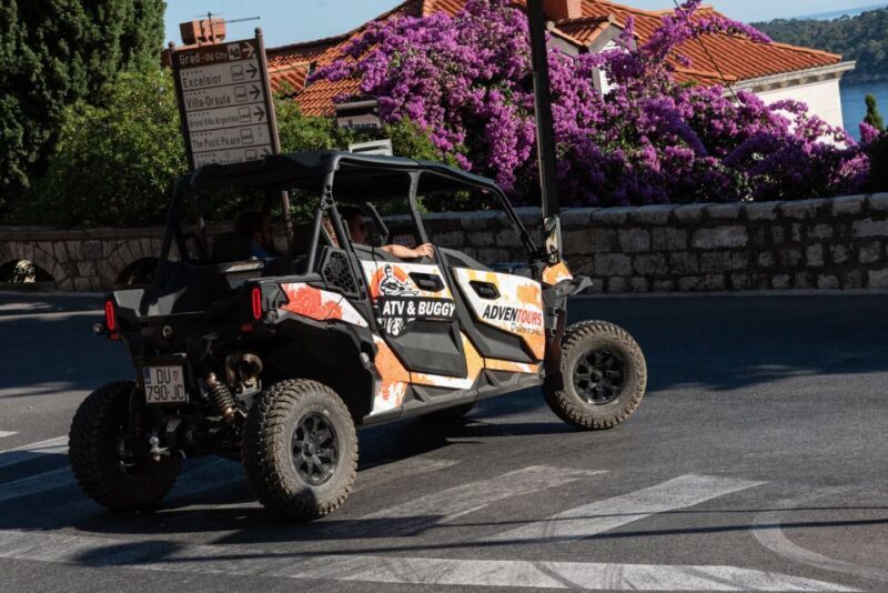 Dubrovnik: Private Buggy Safari Guided Tour (3 hours) - Final Thoughts