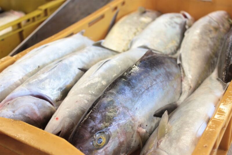 Dubrovnik: Private Cooking Experience with Wine Tasting - Key Points