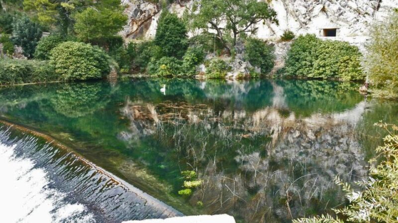 Dubrovnik: Private Cooking Experience with Wine Tasting - Wine Tasting & Barbecue