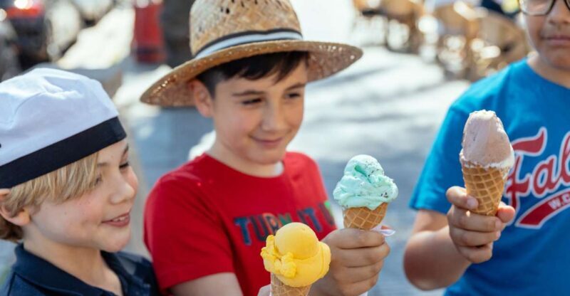 Dubrovnik: Private Family Friendly City Tour with Guide - Final Thoughts