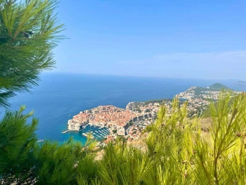 Dubrovnik Private Panorama & Wine Tasting Tour - Key Points