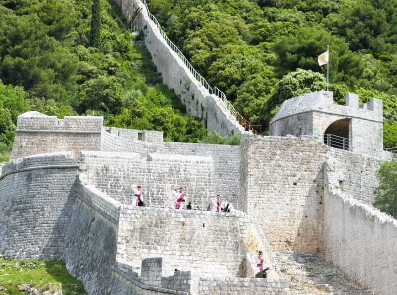 Dubrovnik: Private Tour with Oyster Tasting - Peljeac: Wines, Vines, and Coastal Views