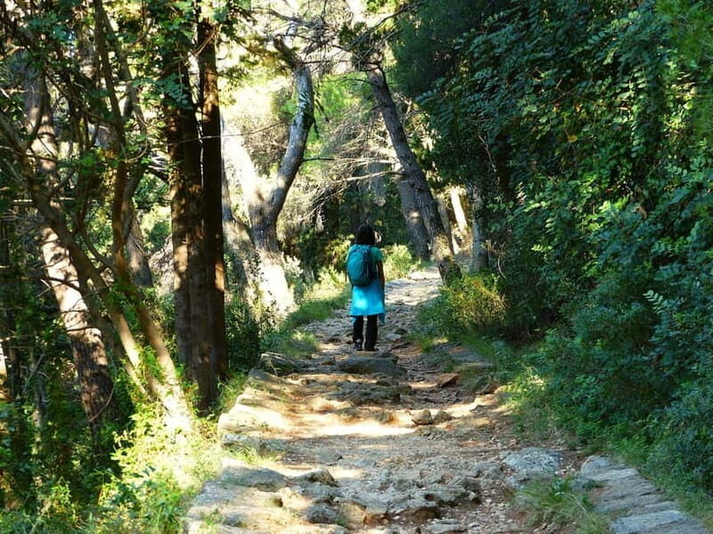 Dubrovnik: Rise and Shine Hike - An In-Depth Look at the Dubrovnik: Rise and Shine Hike