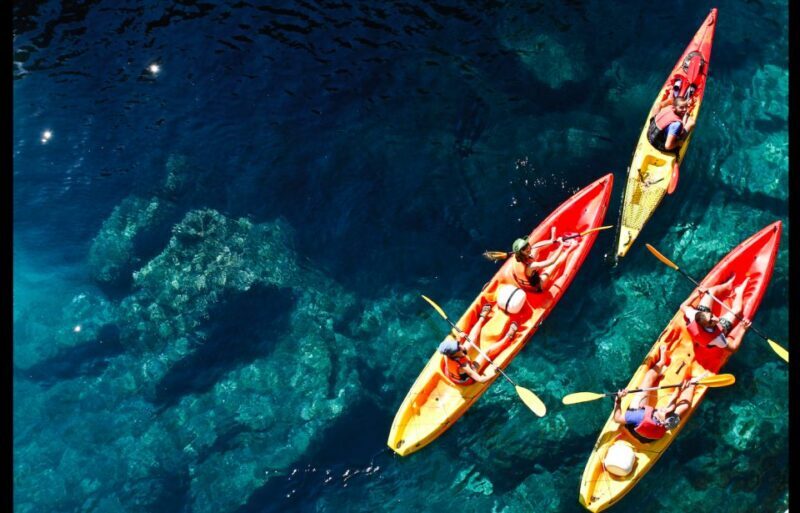 Dubrovnik: Sea Kayaking Tour - Authentic Experiences & Tips from Reviews