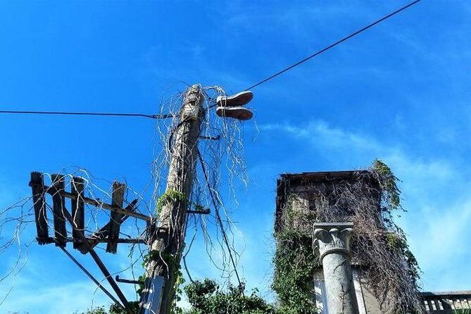 Dubrovnik Shore Excursion: Old Town Walking Tour - Practical Tips for Future Tour Participants