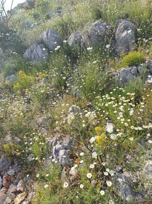 Dubrovnik: Sunrise Hike Mt. Sr + Sunrise Yoga at viewpoint. - FAQs