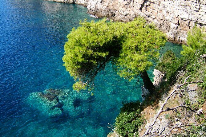 Dubrovnik:3 Islands Boat Tour with Lunch&drinks(FR,ES,EN) - The Experience – What It Feels Like