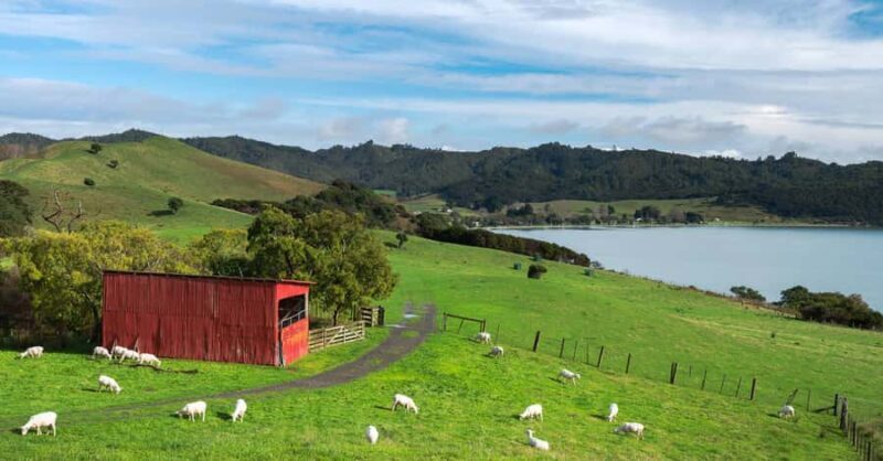 Duder Regional Park Walking Tours - Highlights of the Tour
