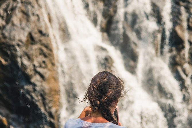 Dudhsagar waterfall wildlife & spice plantation Tour in Goa - An In-Depth Look at the Dudhsagar Waterfalls & Spice Plantation Tour