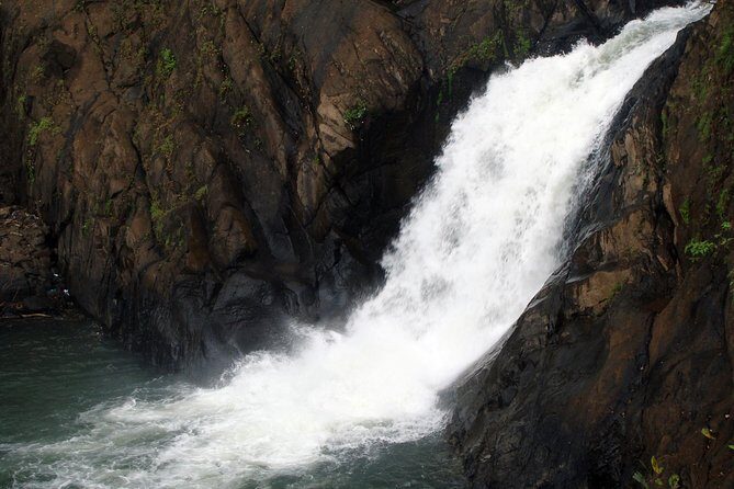 Dudhsagar waterfall wildlife & spice plantation Tour in Goa - Authentic Insights from Reviewers
