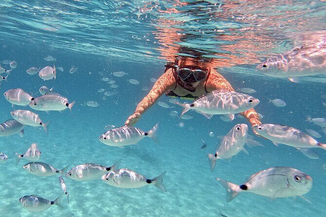 Dugi Otok Island Discovery Day Tour from Zadar - The Value for Money