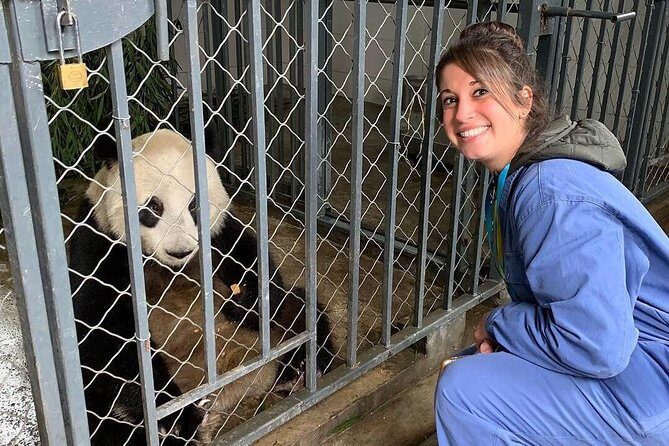 Dujiangyan Panda Volunteering Experience with Lunch - The Itinerary: What’s Actually Involved?