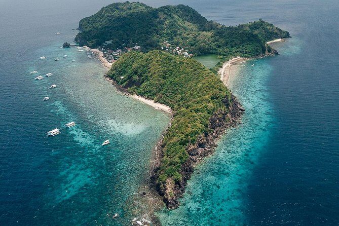 Dumaguete Apo Island Snorkeling Tour - An In-Depth Look at the Tour Experience