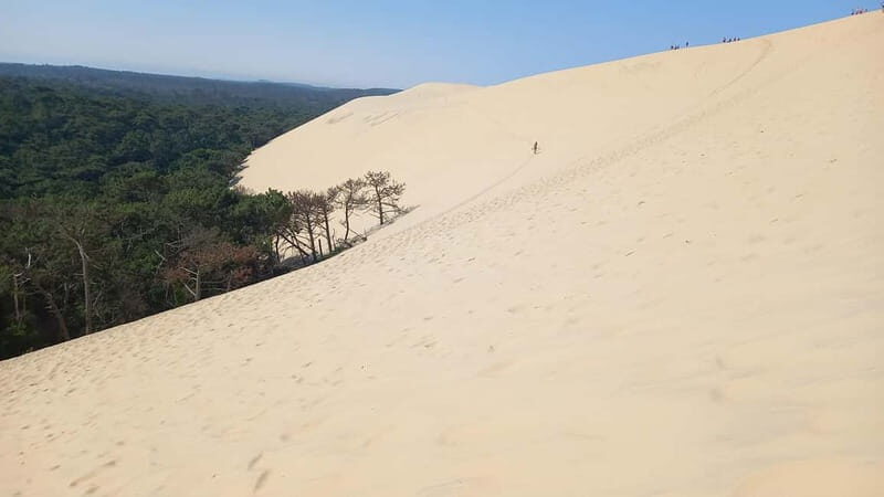 Dune du Pilat, Oysters Tasting and Arcachon! What else ? - Frequently Asked Questions