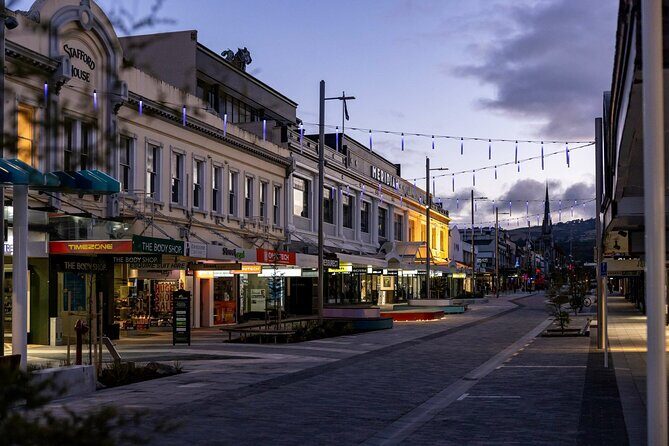 Dunedin 4 Hrs halfday Private Tour - The Experience from a Traveler’s Perspective