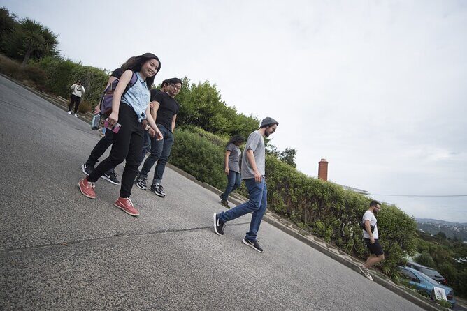 Dunedin 4 Hrs halfday Private Tour - Final Thoughts