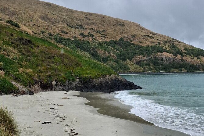 Dunedin and Otago Peninsula Private Tours Up to 4 people - FAQ