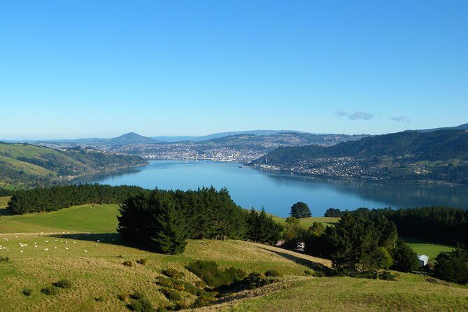 Dunedin City and Coastal Views 3-Hour Small-Group Guided Tour - FAQs