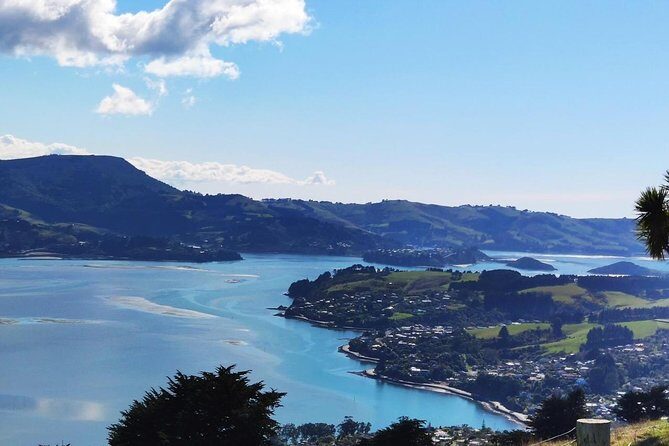 Dunedin City and Coastal Views 3-Hour Small-Group Guided Tour - To sum it up