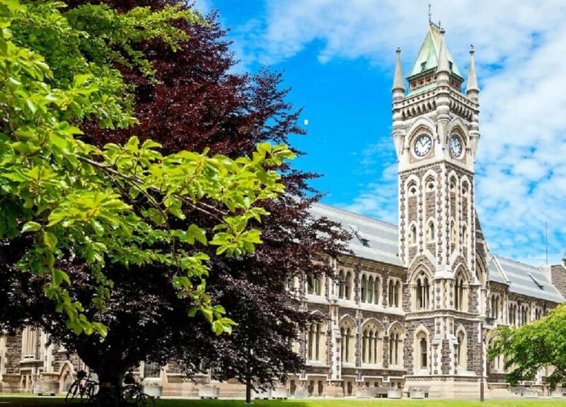 Dunedin City & Coastal Views 3-Hour Small-Group Tour - Why This Tour Offers Great Value