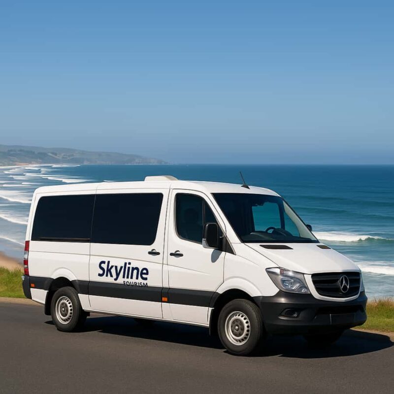 Dunedin City & Otago Peninsula Scenery Day Tour - Key Points