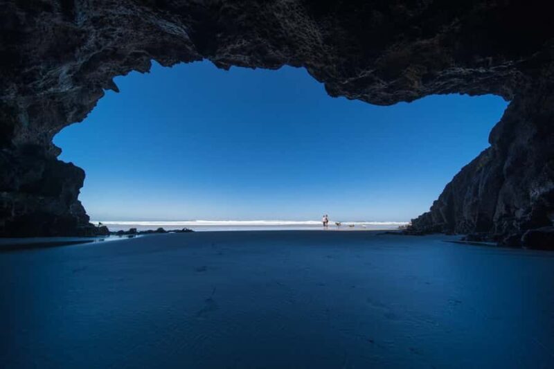 Dunedin City & Otago Peninsula Scenery Day Tour - What Recent Travelers Say