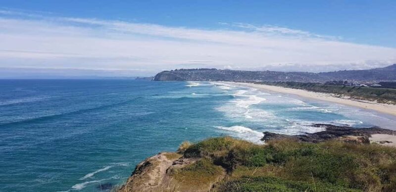 Dunedin City & Otago Peninsula Scenery Day Tour - FAQ Section