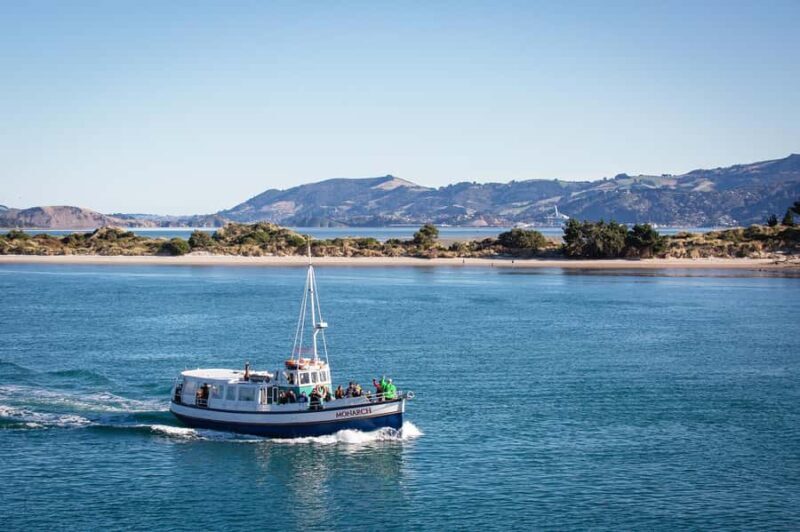 Dunedin: Monarch - One Hour Wildlife Cruise - Who Should Consider This Tour?