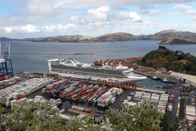 Dunedin Nature & City Tour  Full Day Cruise Excursion - What to Expect from This Dunedin Tour