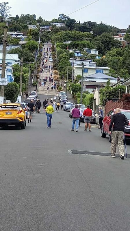 Dunedin: Otago Peninsula with Guided Penguin Reserve Tour - Final Thoughts