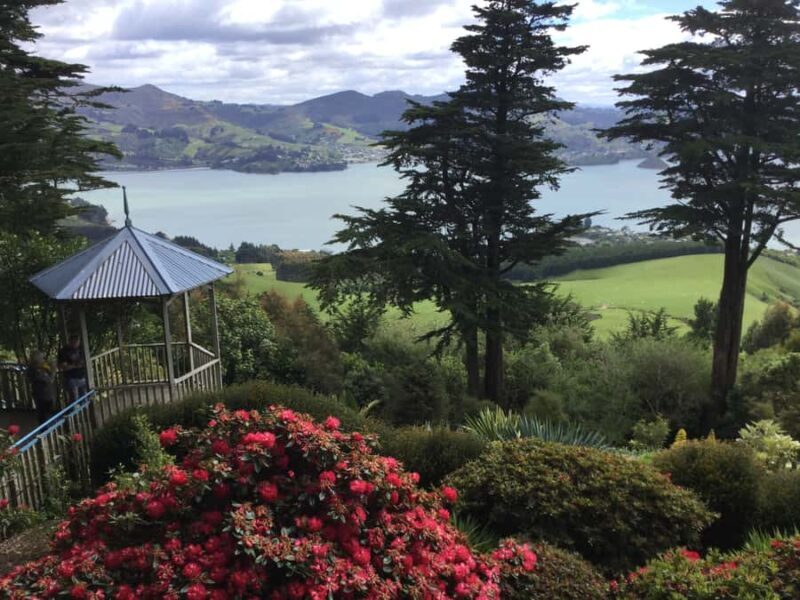 Dunedin: Peninsula with Lanarch Castle gardens & Olveston - Key Points