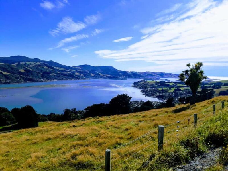 Dunedin: Peninsula with Lanarch Castle gardens & Olveston - Final Thoughts