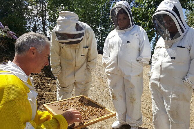 Dunedin Private Tour: City Sights & Otago Peninsula - A Closer Look at the Dunedin Private Tour