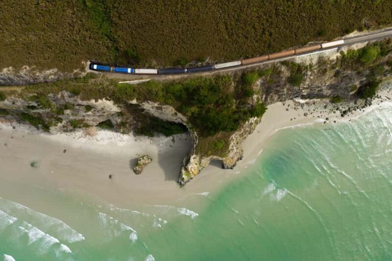 Dunedin: Scenic Railway Tour of Otago's Coastline - Key Points