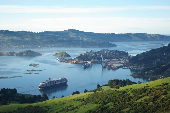 Dunedin Shore Excursion City Sightseeing & Tour of Larnach Castle - Key Points