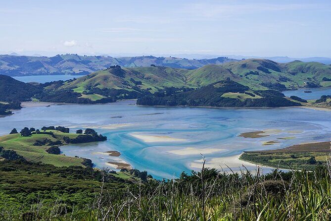 Dunedin Shore Excursion City Sightseeing & Tour of Larnach Castle - Price & Value Analysis