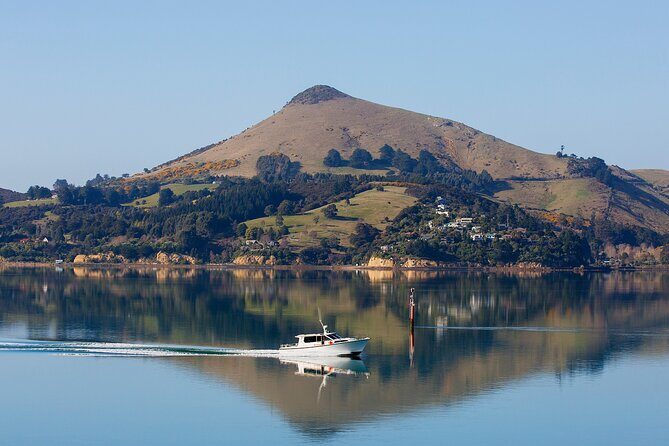 Dunedin Shore Excursion - Sightseeing, Larnach Castle, Chinese Garden & Museum - Who Should Consider This Tour?
