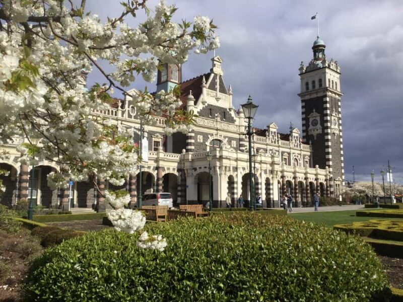Dunedin: Small Group City Highlights Tour - Who Will Love This Tour?