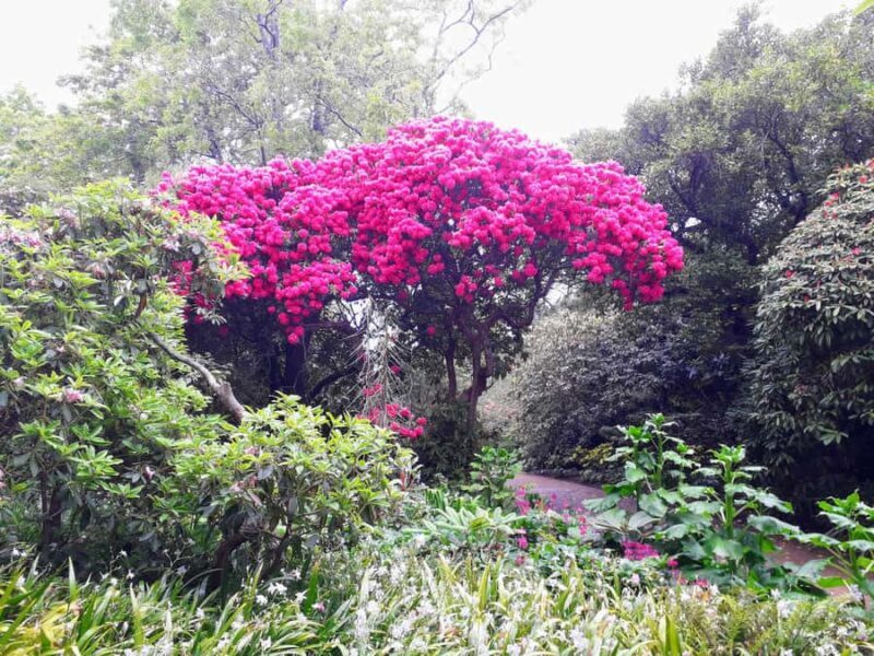 Dunedin: Small Group City Highlights Tour - Final Thoughts