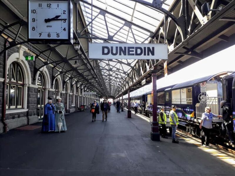 Dunedin: Small Group City Highlights Tour - FAQs