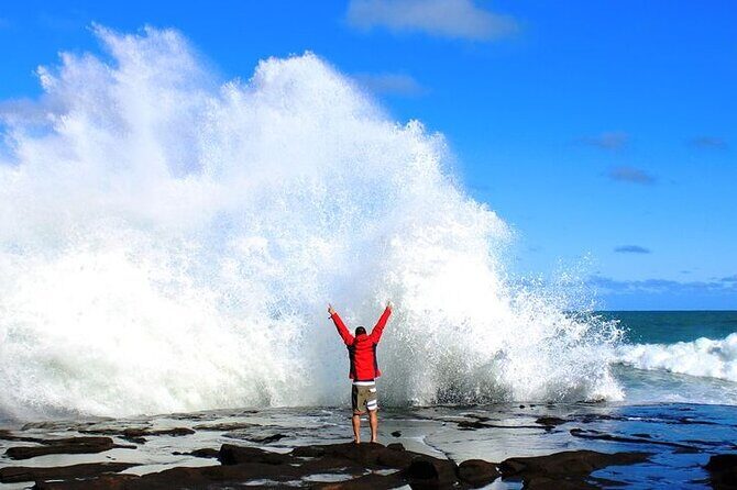 Dunedin to Invercargill via the Catlins 1 Way Small Group Tour - The Itinerary Breakdown: A Closer Look at Each Stop